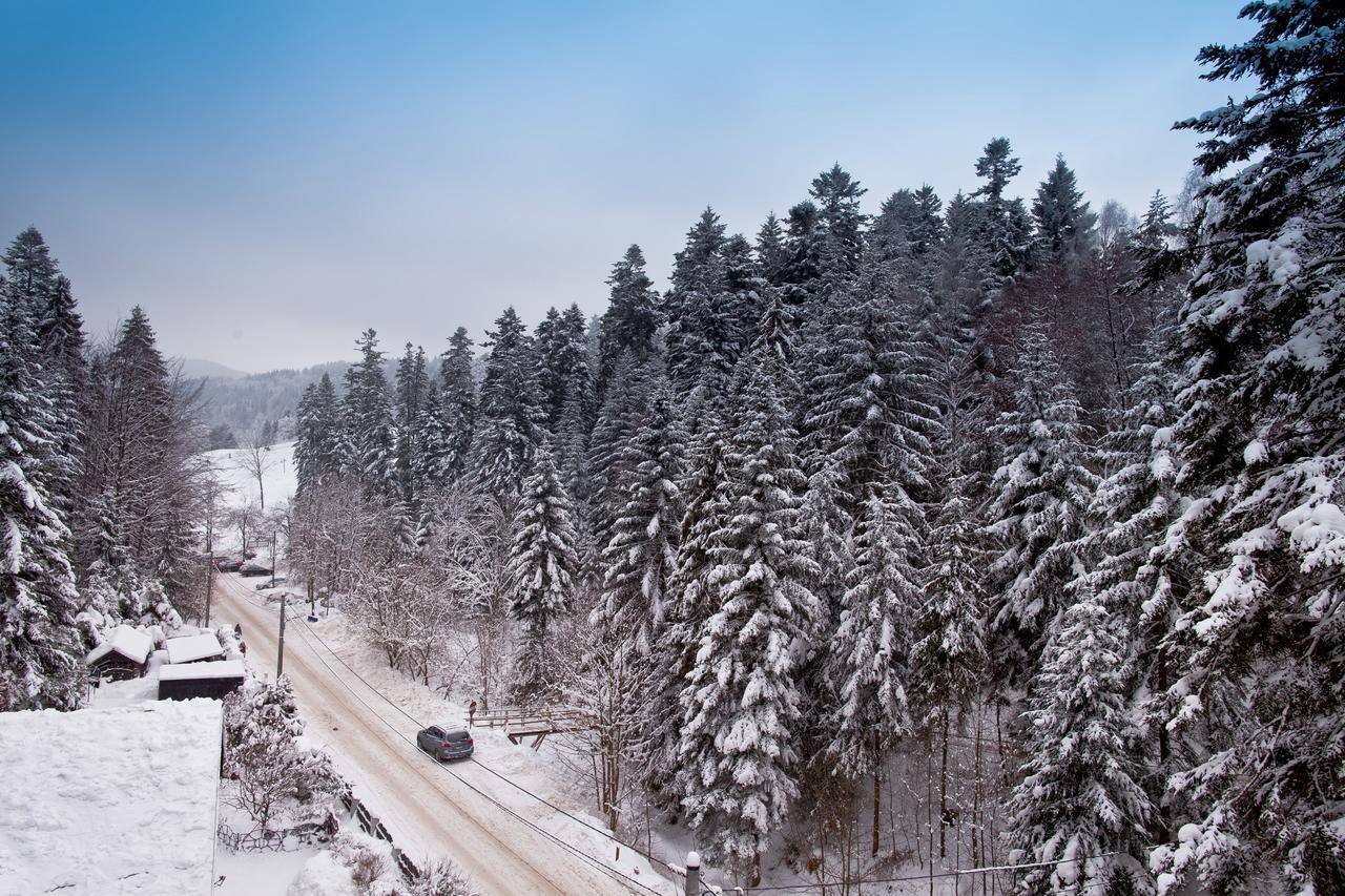 Apartamenty Sun & Snow Zielona Krynica-Zdrój Extérieur photo