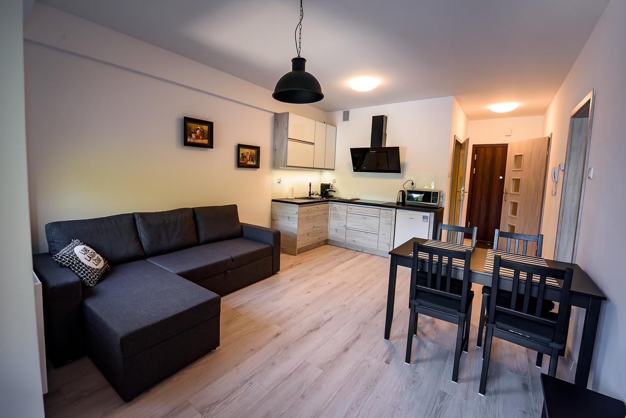 Apartamenty Sun & Snow Zielona Krynica-Zdrój Extérieur photo